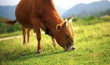 高二议论文：千古江山，圣贤几何？_1000字