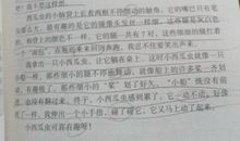 四年级日记：小组竞赛_300字