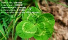 四叶草_800字