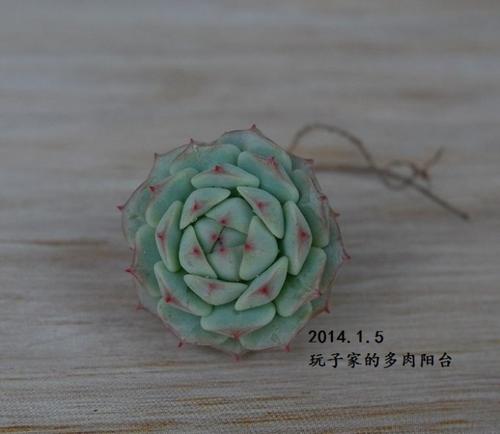 安静的夜梦_700字