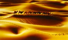 三月有奖征文：更亮丽的风景线_1000字