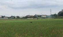 追风少女的象牙塔_600字