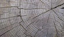 变化，时间的痕迹_600字