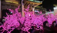 温暖之夜_1000字