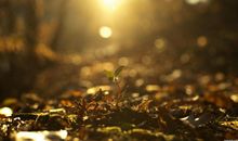 在温暖中行走_700字