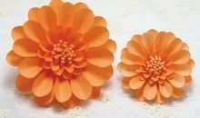 生命中不谢的花朵_1200字