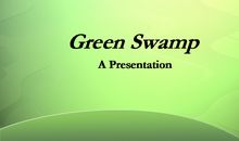 黑板报：把绿色送给大地_800字