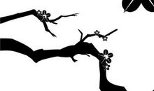 黑板报：小鸟的呼声_600字