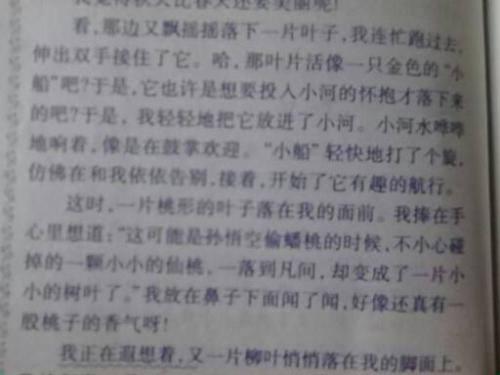 风景组成：小雨_550个字符