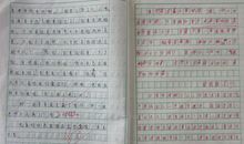 关于马的作文：战胜挫折，为生命插上翅膀_800字