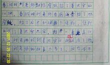 高三写人作文：我的母亲_900字