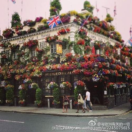 花店之美_300字