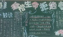 黑板报：我的好伙伴_500字