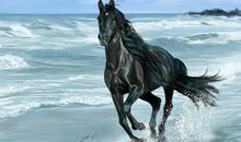 未来的马13_700字