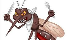 经典笑话：妙语惊人