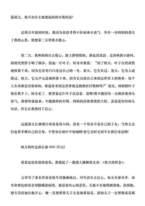 秋小姐_900字