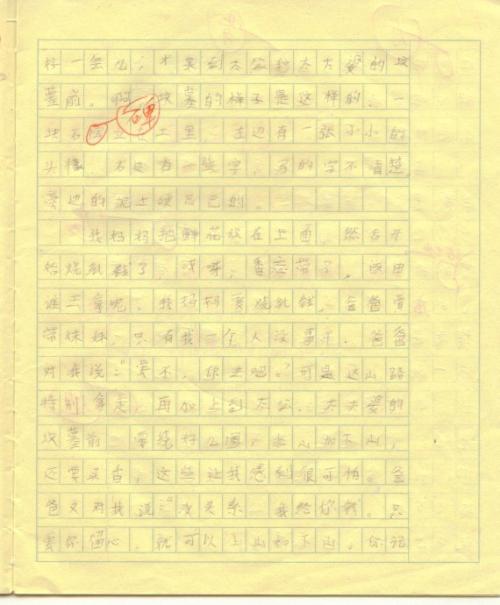 [PK赛]清明节组成：扫墓_800字