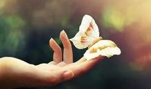 结果无论成败，付出就是精彩_1000字