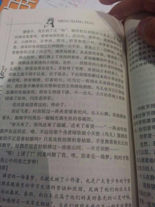 高级第二次辩论论文：Ideal_700个单词