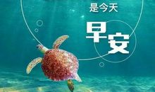 温暖执着的正能量——读《无声的爱》有感_1000字