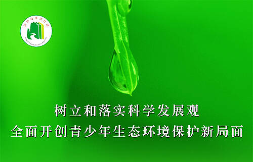 母爱的伟大_900字