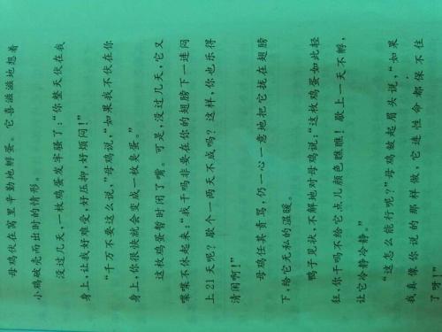高级第二篇辩论论文作文：成功之门被掩盖_1500字