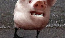 经典笑话：腹部疤痕