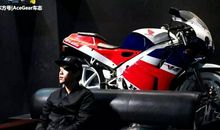 玩物不一定丧志_800字