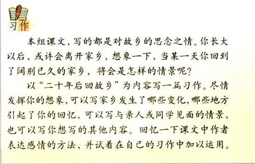 回国二十年_450字