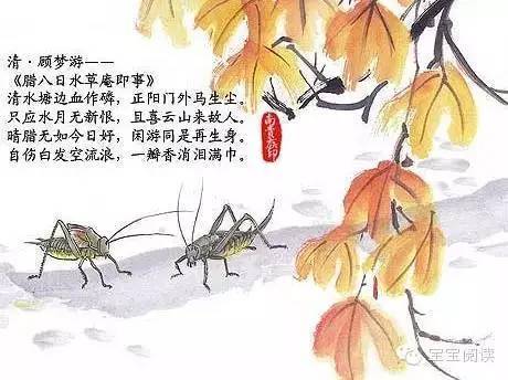 腊八节诗歌：“达拉”-金·培秀_150个字符