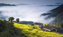 温和的舅舅（孙嘉仪）_450字