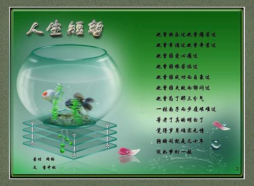 走“冷漠” _750字