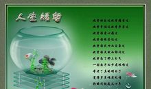 与“淡然”同行_750字
