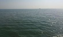 观海老龙头_900字