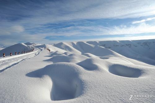 大雪作文：大雪·扑_1200字