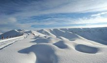 关于大雪的作文：大雪·飘扬_1200字