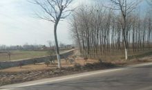 独处的慰藉_900字