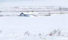 关于大雪的作文：一场大雪_800字