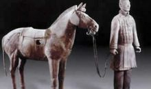 如马一样高昂的头颅_800字