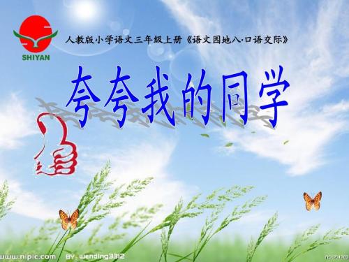 小强精神_350字