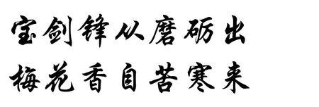 会计实务经验-梅花的芬芳来自严寒