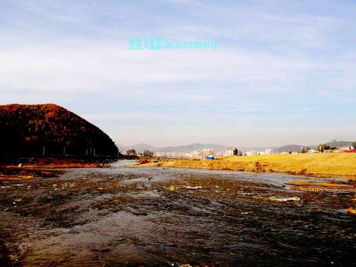 我周围的风景_250字