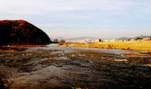 我身边的风景_250字