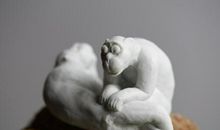 猴子兄弟改写_250字