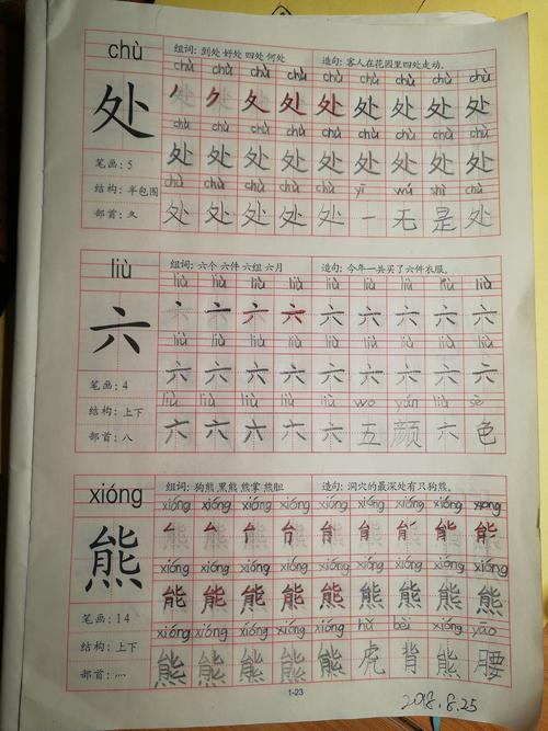 作文的第一天：缤纷的夏日生活_1200字