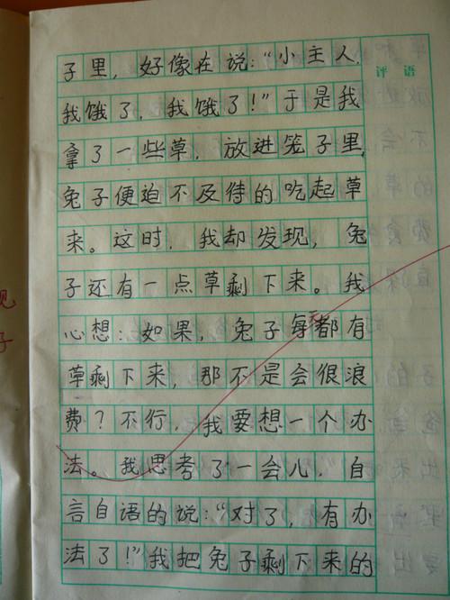 四年级风光构图：Nature_550字