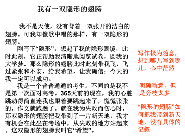 看不见的翅膀_650字