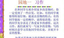 四年级写景作文：大自然_350字