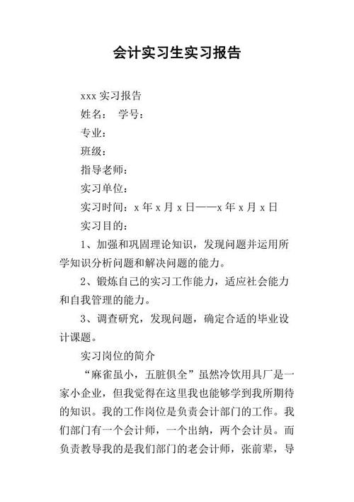 会计实务报告