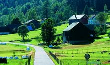 四年级写景作文：大自然的美景_350字